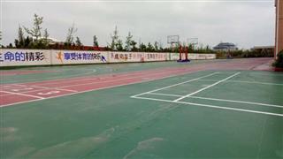 图片展示